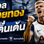 ท็อตแน่ม ฮอทสเปอร์ เปิดตัว ยาน พอล ฟาน เฮคเค่อ เสริมเกมรับอย่างเป็นทางการ ค่าตัว 52 ล้านปอนด์
